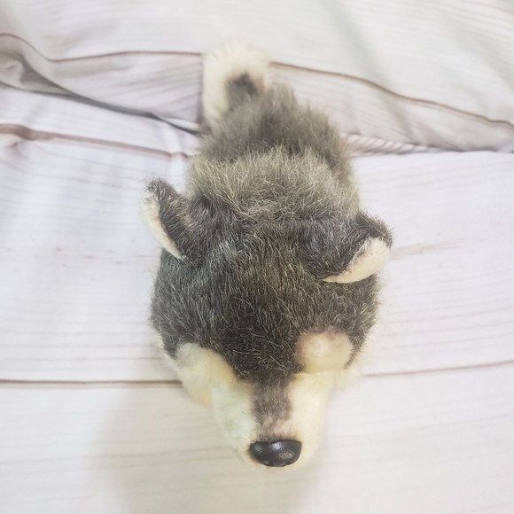 Nat & Jules Realistic Timber Wolf Husky Dog Plush Stuffed Toy 10 Inch 2013 - Picture 3 of 9